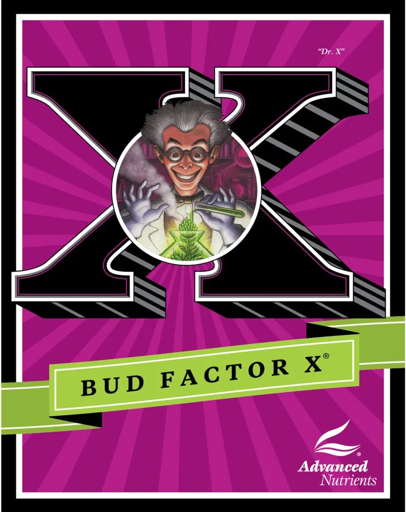 Bud Factor X 0,25 l