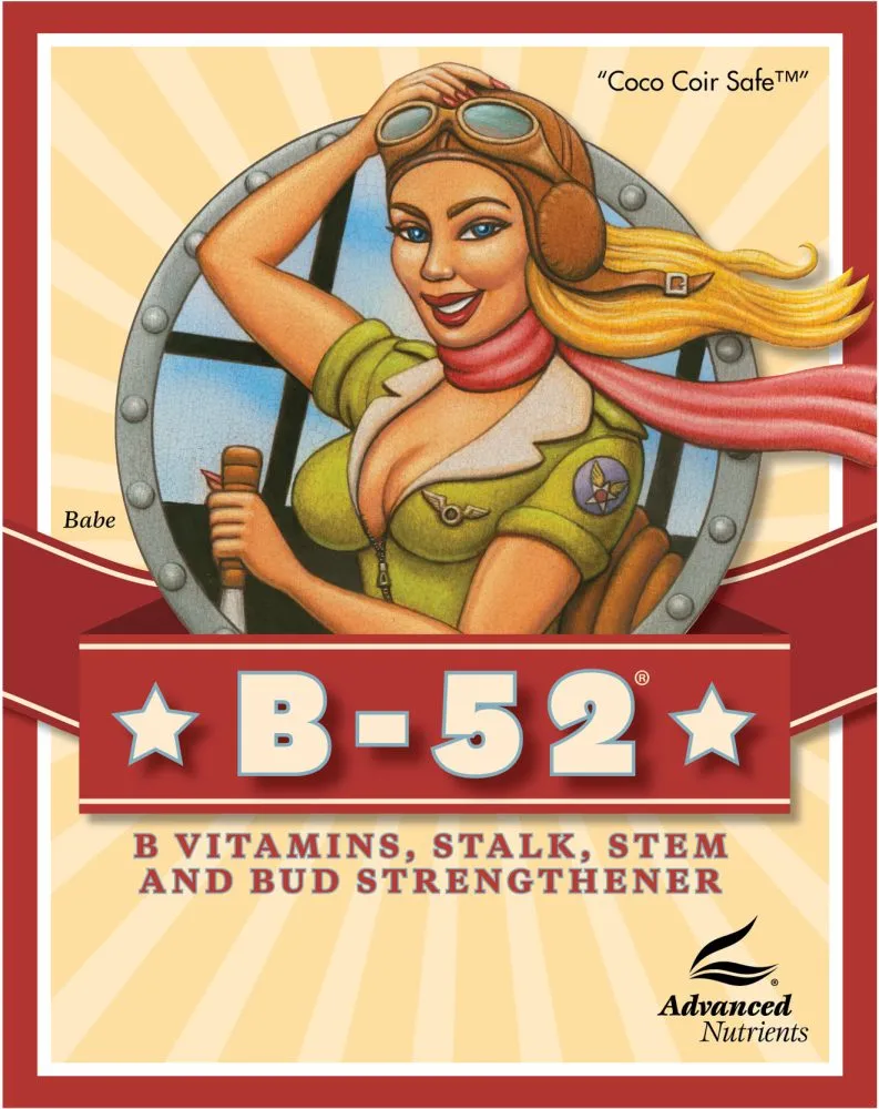 B-52 0,25 l