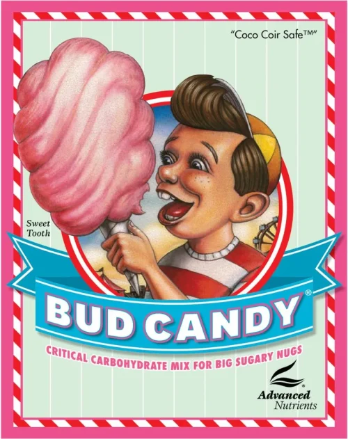 Bud Candy 0,25 l