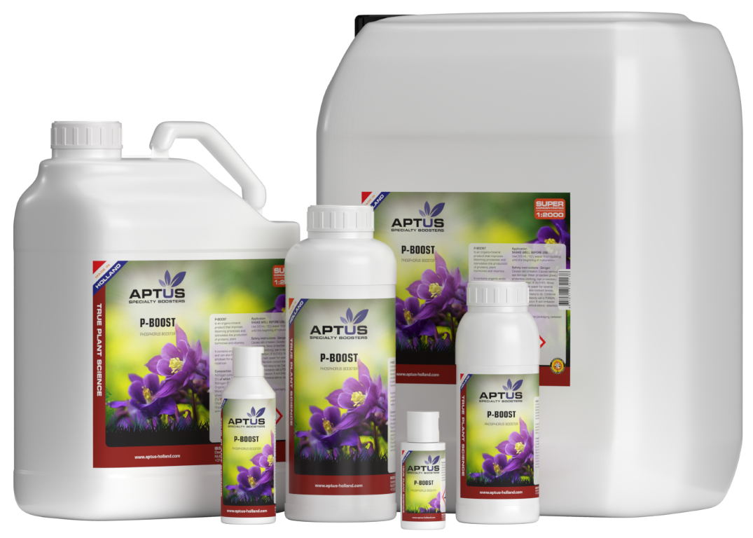 Aptus P-Boost 500 ml