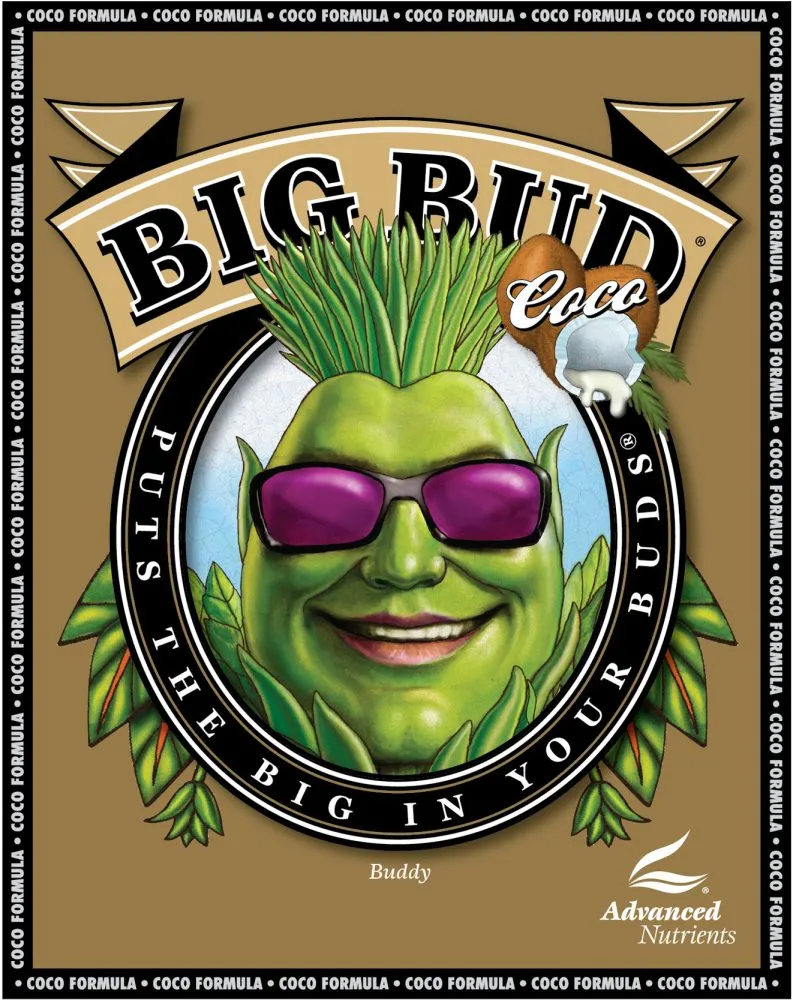 Big Bud Liquid Coco 0,25 l