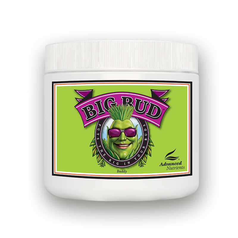 Big Bud Powder 0,13 kg