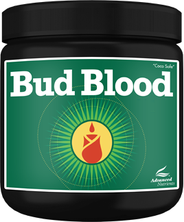 Bud Blood Powder 0,3 kg