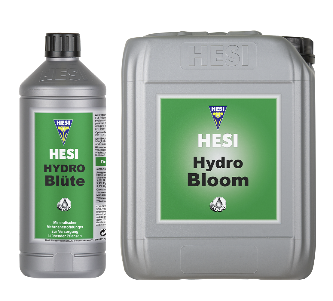 Hesi Hydro Blüte
