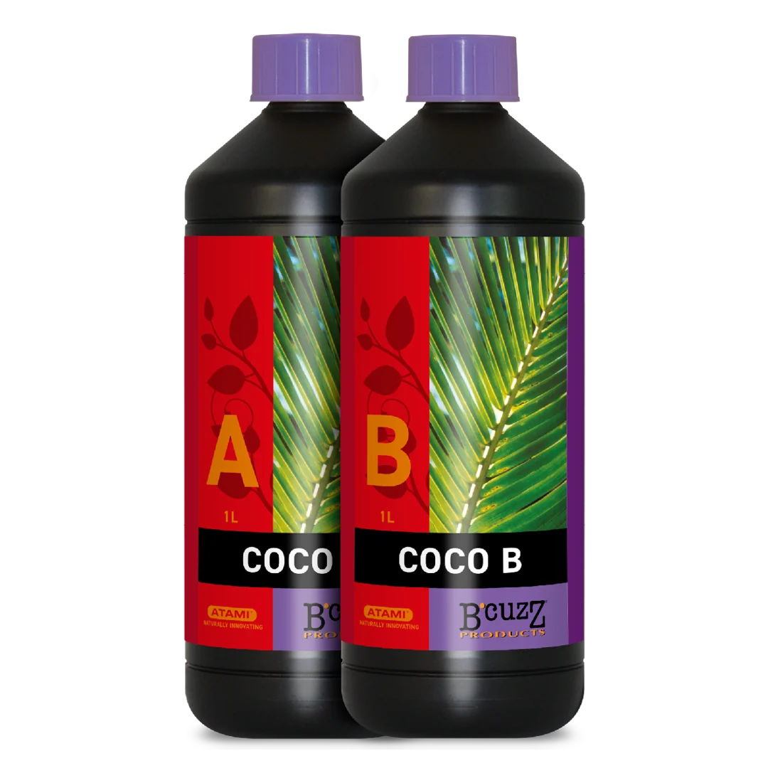 B'cuzz Coco A&B 1 l